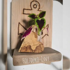 Clearance Holzdeko-Isny Mini Holzvase aus gestockter Buche, Pflaume, Walnuss oder Treibholz