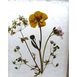 pollimarket Pflanzenbild Windlicht aus Klötzchen – Echte gepresste Blumen & Blätter, Unikat, Dekoration