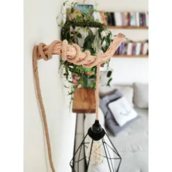 Outlet Timbert Rustikale WANDHAKEN aus ASTHOLZ Urige Naturholz Haken DIY Lampe Wildholz Wandhaken Pflanzenaufhänger Ast Lampenhaken