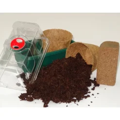 Clearance SAFLAX - Anzucht Set - BIO - Tomate - Matina - 10 Samen - Mit Mini-Gewächshaus, Anzuchtsubstrat und 2 Töpfen - Solanum lycopersicum