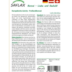 Best SAFLAX - Bonsai - Europäische Lärche - 75 Samen - Larix decidua