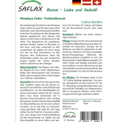 Best SAFLAX - Bonsai - Himalaya Zeder - 35 Samen - Cedrus deodara