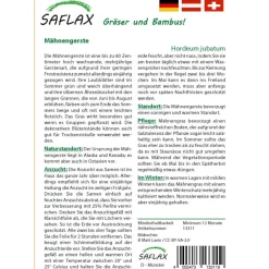Clearance SAFLAX - Gräser-Bambus-Mähnengerste - 70 Samen - Hordeum jubatum