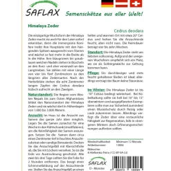 Clearance SAFLAX - Himalaya Zeder - 35 Samen - Cedrus deodara