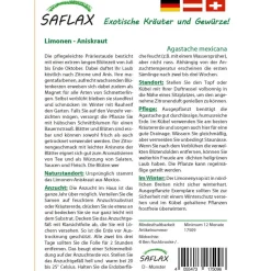 Best SAFLAX - Kräuter - Limonen - Aniskraut - 50 Samen - Agastache mexicana