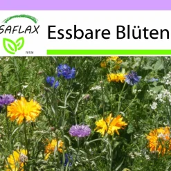 Best SAFLAX - Wildblumen: Essbare Blüten - 1000 Samen - 12 Wildflower Mix