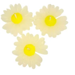Angeles Kreativwerkstatt Schwimmkerze “Margerite“ für eine Wasserkerze
