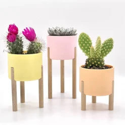 Blumentöpfe^3D-DrUckRAUm Sukkulente und Kaktus Pflanztopf, Blumentopf auf Stelzen in über 50 Farben